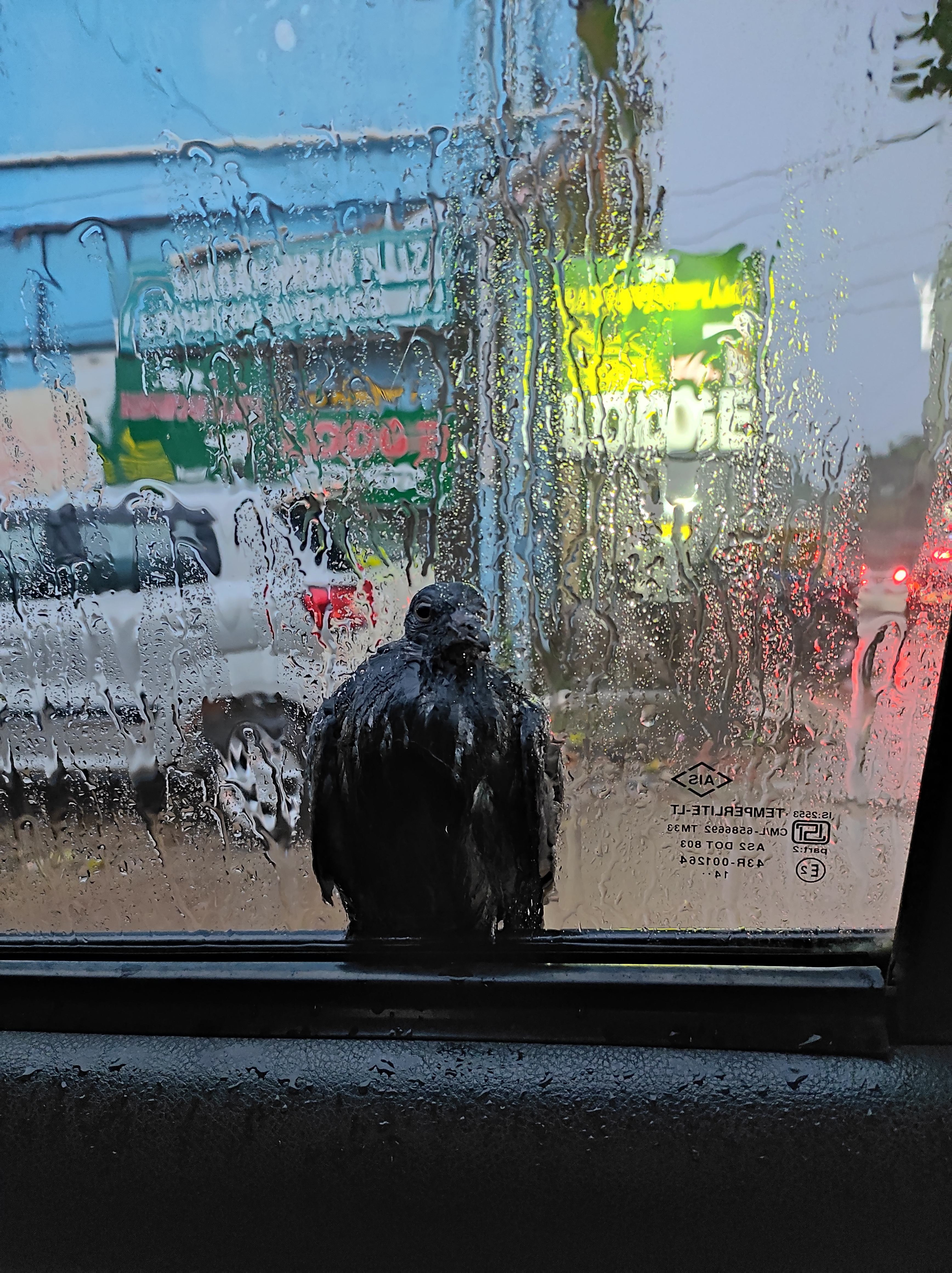 Another Rainy Day